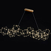 Картинка - Люстра Delight Collection Lucciola 14A matt gold