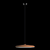 Картинка - Светильник подвесной Loft It Plato 10119 Orange