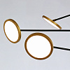 Картинка - Люстра Delight Collection MD19001002-6A black/gold