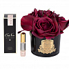 Картинка - Диффузор ароматический Five Rose Red