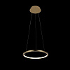 Картинка - Светильник подвесной Loft It Ring 10014S