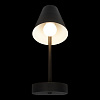 Картинка - Настенный светильник Loft It Shelf 10216/1W Black