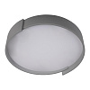 Картинка - Светильник потолочный Loft It Coin 10200 Grey