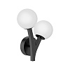 Картинка - Настенный светильник Delight Collection MB2050-2A black