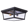 Картинка - Светильник потолочный Loft It Trapezium LOFT3110-2C