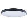 Картинка - Светильник потолочный Loft It Axel 10002/48 Black