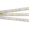 Картинка - Светодиодная лента герметичная RTW-PS-B60-13mm 24V Warm3000 (14.4 W/m, IP67, 5060, 5m) (Arlight, 14.4 Вт/м, IP67)  021464(2)