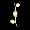 Картинка - Настенное бра Loft It Sakura 10212W White