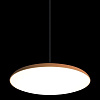 Картинка - Светильник подвесной Loft It Plato 10119 Orange