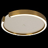 Картинка - Светильник потолочный Loft It Ring 10026
