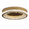 Картинка - Настенный/Потолочный светильник Delight Collection XD-50 gold