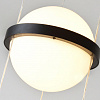 Картинка - Светильник подвесной Delight Collection 10228 10228P/1 black