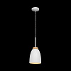 Картинка - Светильник подвесной Loft It Restor LOFT4402A-WH