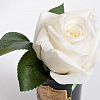 Картинка - Диффузор ароматический Rose Bud White