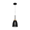 Картинка - Светильник подвесной Loft It Restor LOFT4402A-BL