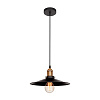 Картинка - Светильник подвесной Loft It Piligrimm LOFT1102