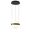 Картинка - Светильник подвесной Delight Collection 10228 10228P/1 black