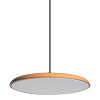Картинка - Светильник подвесной Loft It Plato 10119 Orange