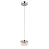 Картинка - Подвесной светильник Delight Collection MD21020075-1A chrome