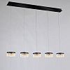 Картинка - Подвесной светильник Delight Collection MD21020075-5B matt black