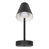 Картинка - Настенный светильник Loft It Shelf 10216/1W Black
