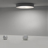 Картинка - Светильник потолочный ImperiumLoft Ecla01 101547-26