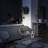 Картинка - Настенный светильник Loft It Gorilla 10178 Black