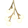 Картинка - Люстра Delight Collection MD2050-7A gold