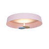 Картинка - Потолочный светильник Delight Collection MX19001031-1A pink
