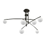 Картинка - Потолочный светильник Delight Collection 8119P/6 black
