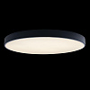 Картинка - Светильник потолочный Loft It Axel 10002/48 Black