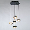 Картинка - Подвесной светильник Delight Collection MD22030002-5A black/clear
