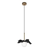 Картинка - Светильник подвесной Loft It Monro 10213/A Black