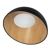Картинка - Светильник потолочный Loft It Egg 10197/500 Black