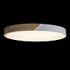 Картинка - Светильник потолочный Loft It Axel 10004/36 White