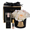 Картинка - Диффузор ароматический Five Rose Pink