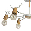 Картинка - Потолочная люстра Loft It Sven 10024/6 White