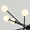 Картинка - Люстра Delight Collection MD19001025-16A black