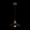 Картинка - Светильник подвесной Loft It Piligrimm LOFT1101
