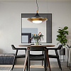Картинка - Светильник подвесной ImperiumLoft Rask01 151756-26