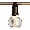 Картинка - Люстра Delight Collection P0853-8C gold