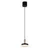 Картинка - Подвесной светильник Delight Collection P0855-1A black