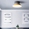 Картинка - Светильник потолочный ImperiumLoft Knap01 193552-26