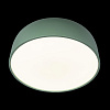 Картинка - Светильник потолочный Loft It Axel 10201/480 Green